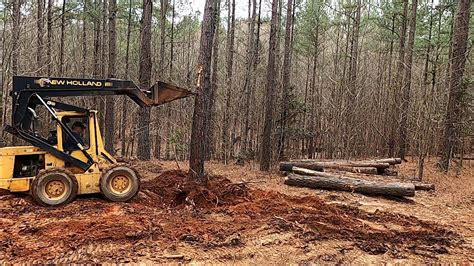 pushing over pine trees